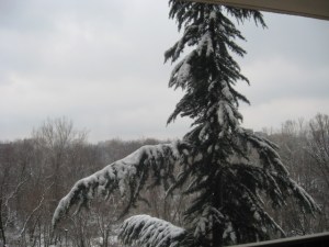 09_1st-snow-001