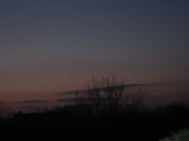 March 22 around 7:30PM (Alexandria, VA)