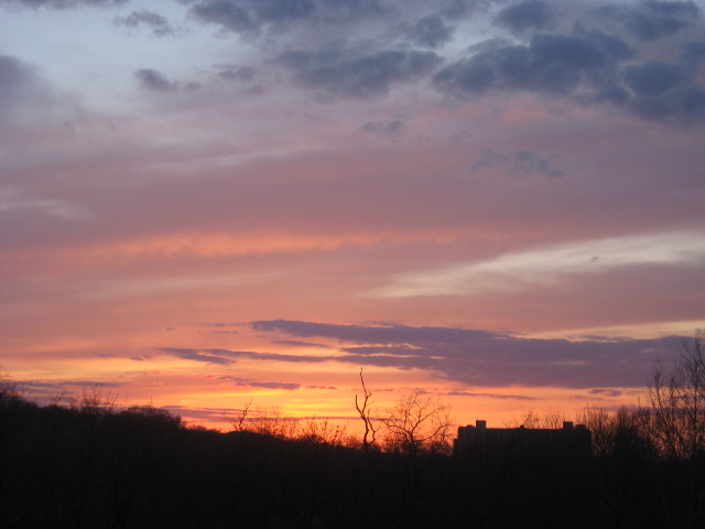 Aren't the purple shades COOL!?