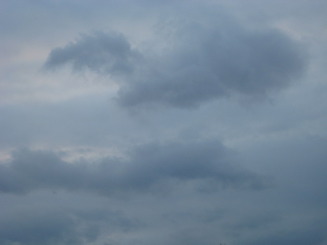 It was windy (but NOT as much as MON)!