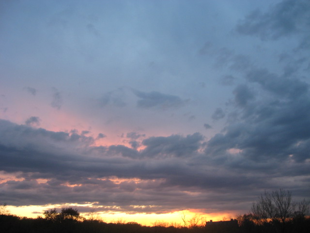 Around 7PM (after rain)- v pretty again!