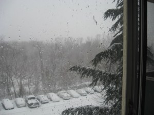 Snow 12_2009 004