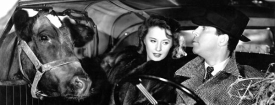 Lee and John in a cow field