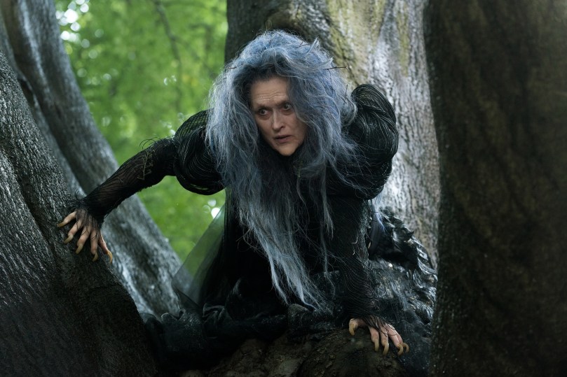 The Witch (Meryl Streep) wishes to reverse a curse to restore her beauty.